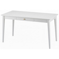 Masifart Aurelia 140 Lık Retro Çalışma Masası 