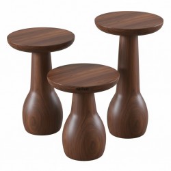 Masifart Pixar Vazo Mantar Zigon Sehpa 